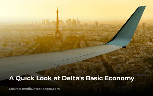 A Quick Look at Delta's Basic Economy Fares