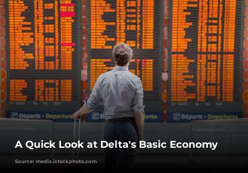 A Quick Look at Delta's Basic Economy Fares