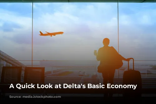 A Quick Look at Delta's Basic Economy Fares