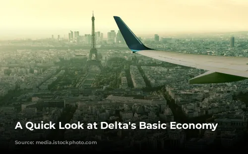 A Quick Look at Delta's Basic Economy Fares