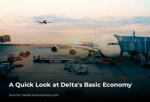 A Quick Look at Delta's Basic Economy Fares