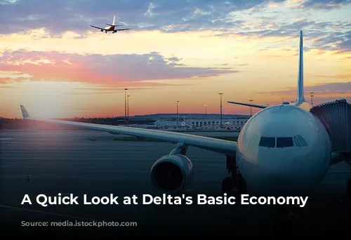 A Quick Look at Delta's Basic Economy Fares