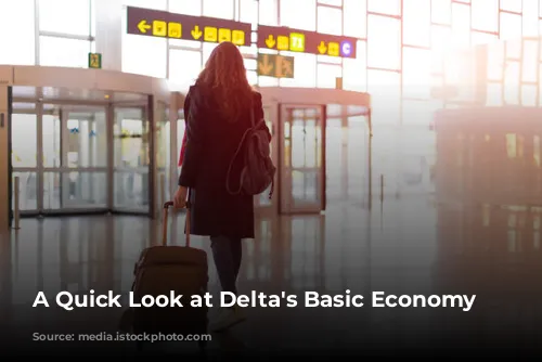 A Quick Look at Delta's Basic Economy Fares