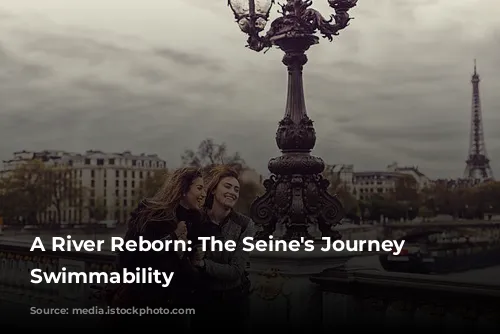 A River Reborn: The Seine's Journey to Swimmability