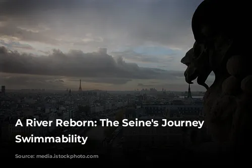 A River Reborn: The Seine's Journey to Swimmability