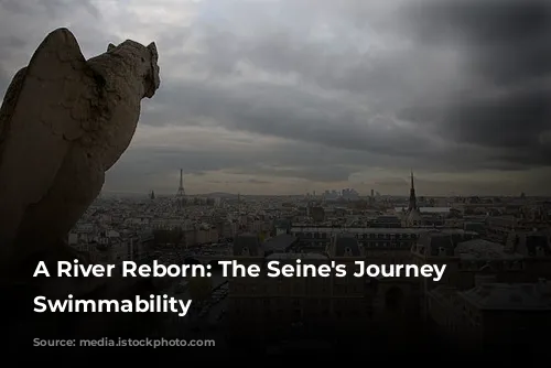 A River Reborn: The Seine's Journey to Swimmability