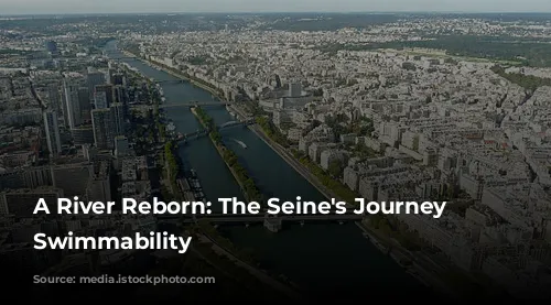 A River Reborn: The Seine's Journey to Swimmability