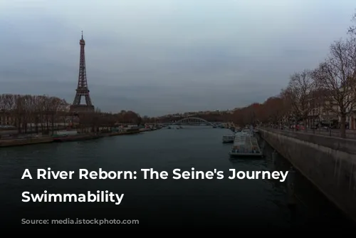 A River Reborn: The Seine's Journey to Swimmability