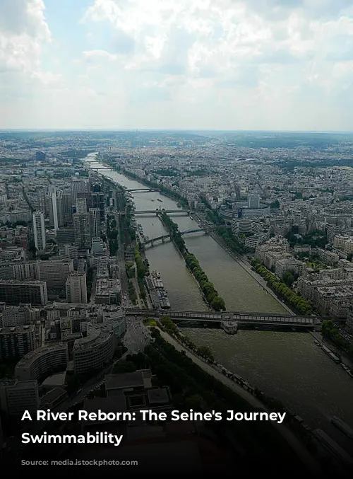 A River Reborn: The Seine's Journey to Swimmability