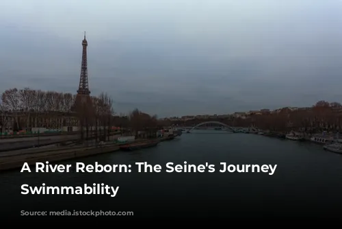 A River Reborn: The Seine's Journey to Swimmability