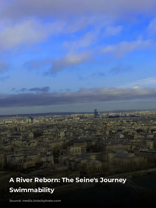 A River Reborn: The Seine's Journey to Swimmability