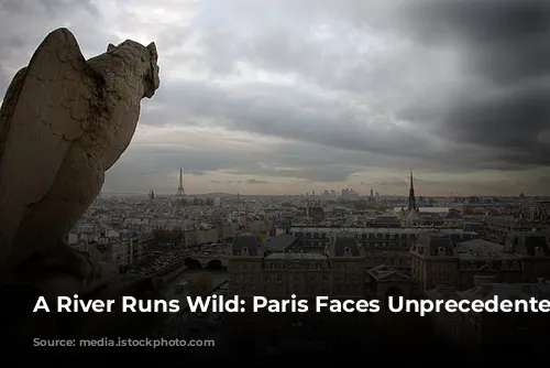 A River Runs Wild: Paris Faces Unprecedented Flooding