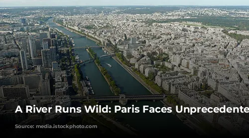 A River Runs Wild: Paris Faces Unprecedented Flooding