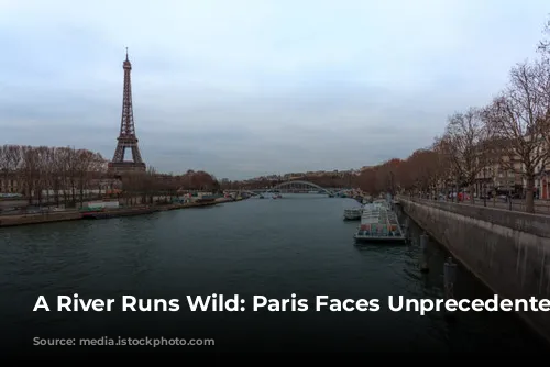 A River Runs Wild: Paris Faces Unprecedented Flooding