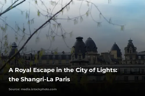 A Royal Escape in the City of Lights: Unveiling the Shangri-La Paris