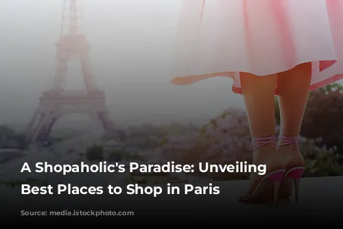 A Shopaholic's Paradise: Unveiling the Best Places to Shop in Paris