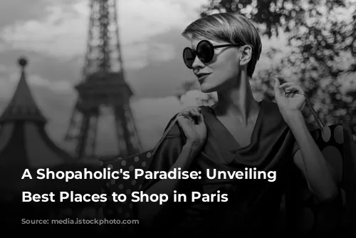 A Shopaholic's Paradise: Unveiling the Best Places to Shop in Paris