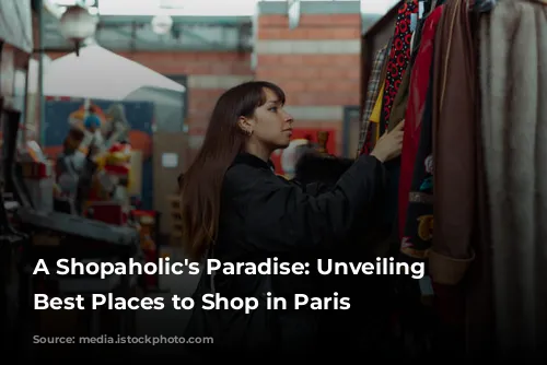 A Shopaholic's Paradise: Unveiling the Best Places to Shop in Paris