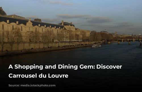 A Shopping and Dining Gem: Discover the Carrousel du Louvre