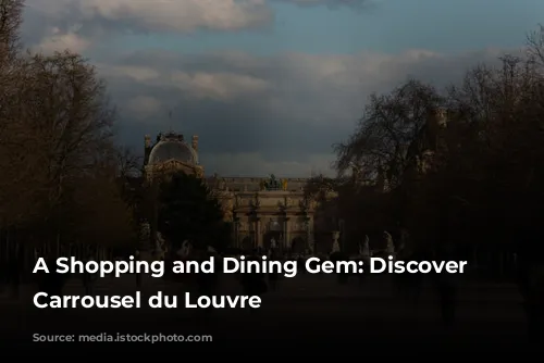 A Shopping and Dining Gem: Discover the Carrousel du Louvre