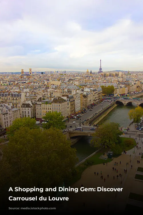 A Shopping and Dining Gem: Discover the Carrousel du Louvre