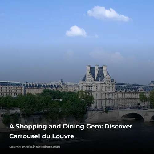 A Shopping and Dining Gem: Discover the Carrousel du Louvre