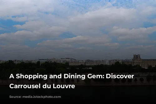 A Shopping and Dining Gem: Discover the Carrousel du Louvre