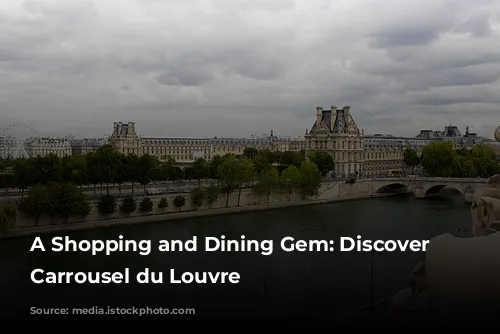 A Shopping and Dining Gem: Discover the Carrousel du Louvre