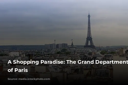 A Shopping Paradise: The Grand Department Stores of Paris