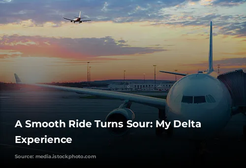 A Smooth Ride Turns Sour: My Delta Flight Experience