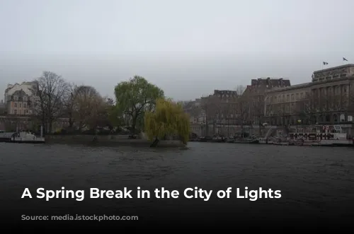 A Spring Break in the City of Lights