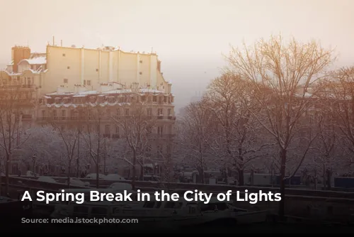 A Spring Break in the City of Lights