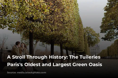 A Stroll Through History: The Tuileries Garden, Paris's Oldest and Largest Green Oasis