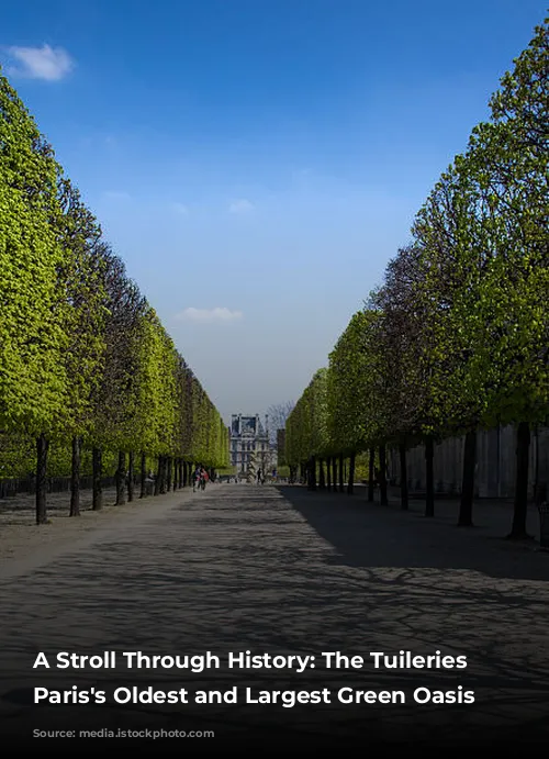 A Stroll Through History: The Tuileries Garden, Paris's Oldest and Largest Green Oasis