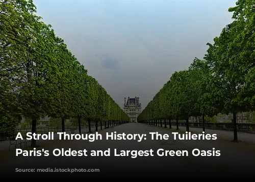 A Stroll Through History: The Tuileries Garden, Paris's Oldest and Largest Green Oasis