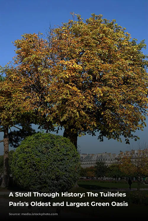 A Stroll Through History: The Tuileries Garden, Paris's Oldest and Largest Green Oasis