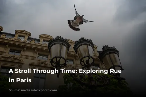 A Stroll Through Time: Exploring Rue Saint-Dominique in Paris