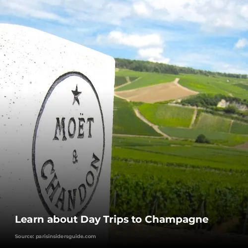 Learn about Day Trips to Champagne