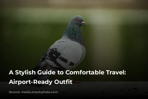 A Stylish Guide to Comfortable Travel: My Airport-Ready Outfit