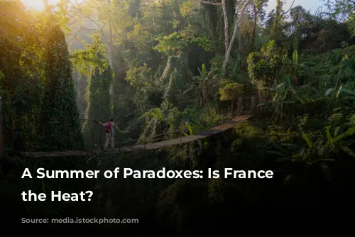 A Summer of Paradoxes: Is France Escaping the Heat?