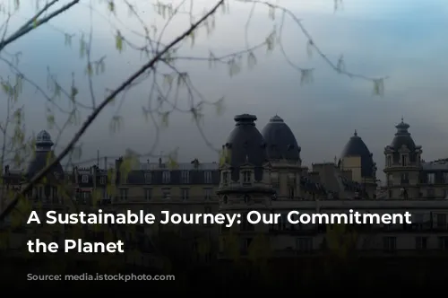 A Sustainable Journey: Our Commitment to the Planet