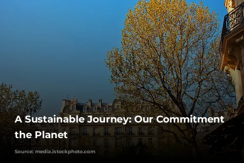 A Sustainable Journey: Our Commitment to the Planet