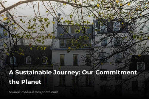 A Sustainable Journey: Our Commitment to the Planet