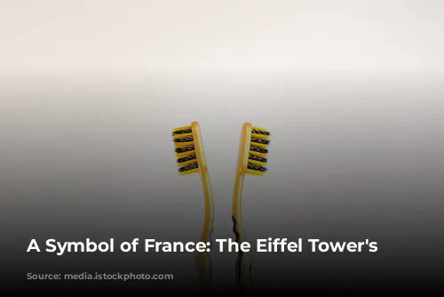 A Symbol of France: The Eiffel Tower's Journey