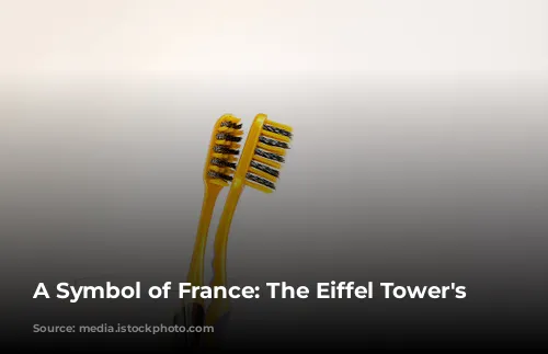 A Symbol of France: The Eiffel Tower's Journey