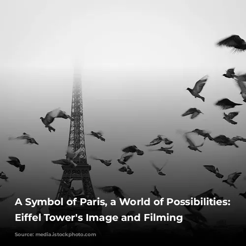 A Symbol of Paris, a World of Possibilities: The Eiffel Tower's Image and Filming