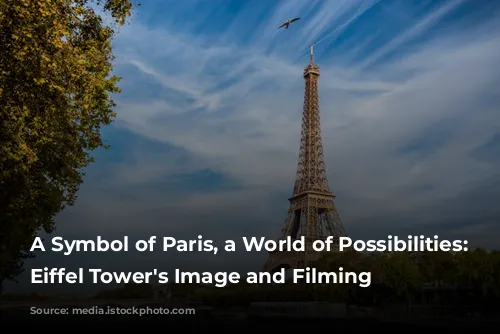 A Symbol of Paris, a World of Possibilities: The Eiffel Tower's Image and Filming