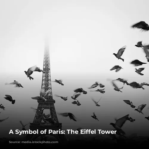 A Symbol of Paris: The Eiffel Tower