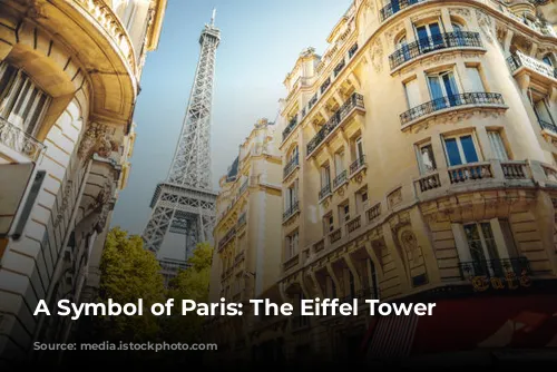 A Symbol of Paris: The Eiffel Tower