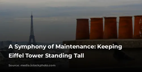 A Symphony of Maintenance: Keeping the Eiffel Tower Standing Tall